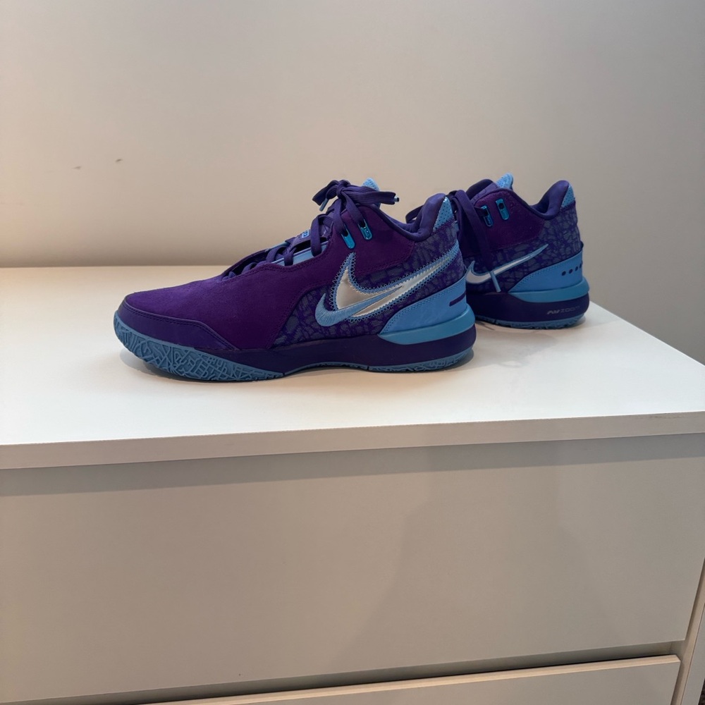 Nike Zoom LeBron NXXT Gen AMPD "Summit Lake Hornets" size 7.5